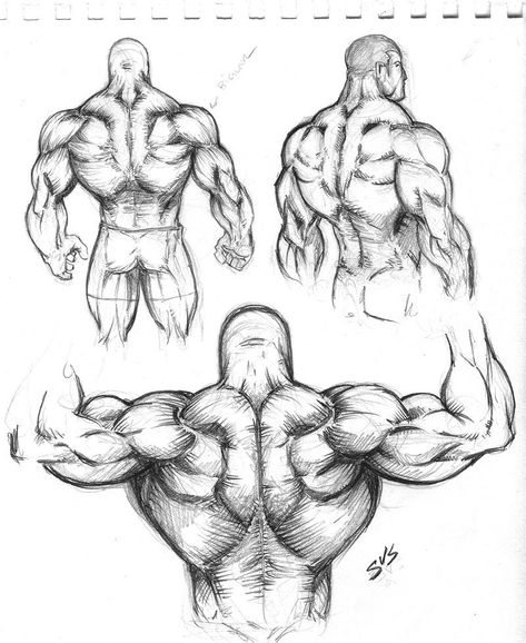 Muscular Back Study 01 by spacehater on DeviantArt Human Anatomy Drawing, Body Sketches, Human Figure Drawing, Human Anatomy Art, Anatomy Sketches, 캐릭터 드로잉, Concept Art Drawing, Guy Drawing, Anatomy Art