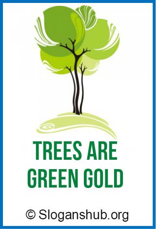 Van Mohatsav Poster, Save Trees Quotes, Slogans On Trees, Save Earth Quotes, Trees Quotes, Save Tree Save Earth, Go Green Posters, Science Exhibition Projects, Green Posters