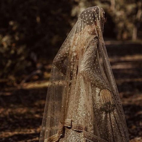 Dawn Court Aesthetic, Court Aesthetic, Nikkah Dress, Dress Fancy, Desi Clothes, Pakistani Bridal Dresses, Desi Wedding, Indian Aesthetic, Pakistani Bridal