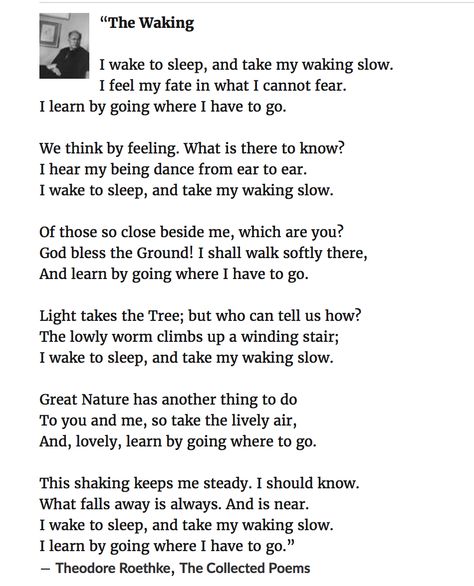 Theodore Meaning, The Waves Virginia Woolf, Her Movie Quotes Theodore Film, Rudyard Kipling If Poem, Theodore Roethke, Pretty Writing, Beautiful Verses, Pretty Notes, I Am Scared