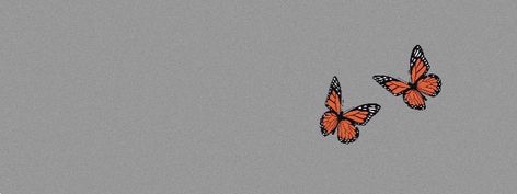 Grey Butterfly Header Aesthetic Pc Wallpaper Aesthetic Butterfly, Laptop Wallpaper Butterfly Aesthetic, Butterfly Cover Photo, Butterfly Banner Twitter, Butterfly Aesthetic Twitter Header, Butterfly Cover Photo Facebook, Facebook Cover Photos Vintage, Fb Background, Pics For Fb