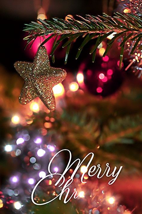 Xmas Gif, Christmas Holiday Greetings, Merry Christmas Gif, Christmas Scenery, Married Christmas, Animated Christmas, Christmas Gif, Christmas Scenes, Merry Christmas And Happy New Year