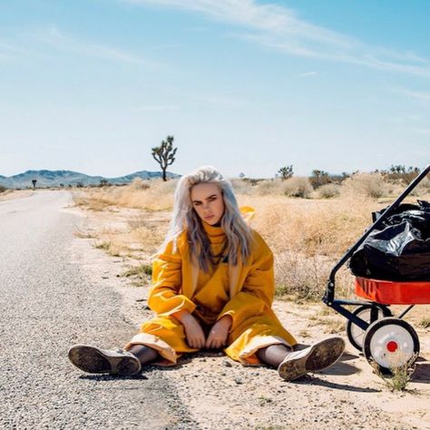 Billie Eilish Bellyache, Billie Eilish, On Twitter, Twitter, On Instagram, Instagram