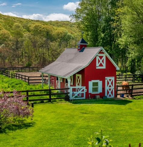 The Barn, Small Horse Farm, Horse House, Small Farm Aesthetic, Red Horse, Farm Backyard, Cow Barn, Horse Farm, Barn Aesthetic