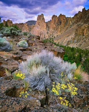 Top 10 Fall color Hikes in the Bend, Oregon area! – Mike Putnam Landscape Photography | Fine Art landscape Images by Bend, Oregon Photographer, Mike Putnam Oregon Landscape, Oregon Living, Beautiful Oregon, Travel Oregon, Eastern Oregon, Fine Art Landscape Photography, Landscape Images, Desert Life, Pacific Nw