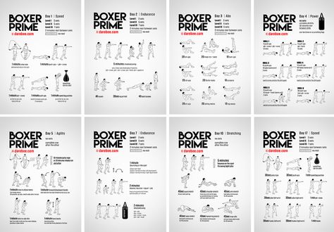 Download Boxer Prime, Boxer Exercises, Boxer Prime Day 1, Beginner Boxer Workout, Boxing Conditioning Workouts, Boxing Number System, Boxing Combinations, Boxing Workout Routine, Boxer Workout