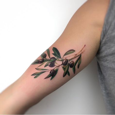 YELIZ OZCAN olive branch Tattoo Olive Tree Tattoos, Olive Tattoo, Tattoos About Mom, Olive Branch Tattoo, Plant Room Ideas, Branch Tattoo, Aesthetic Tattoos For Men, C Tattoo, Vine Tattoos