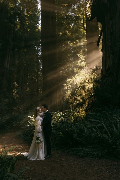 Micro Wedding Photos, Gothic Engagement Photos, Surprise Elopement, Photography Types, Witchy Wedding, Elopement Oregon, Wedding Fairytale, Twilight Wedding, Oregon Forest