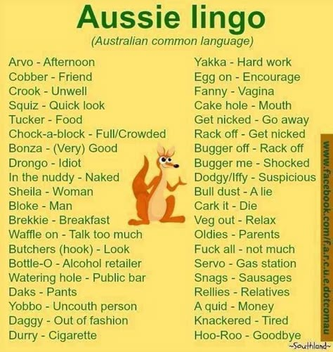 Australia Slang, Funny Aussie, Aussie Memes, Australian Memes, Aussie Slang, Meanwhile In Australia, Australian Slang, Funny Australian, Australian Accent