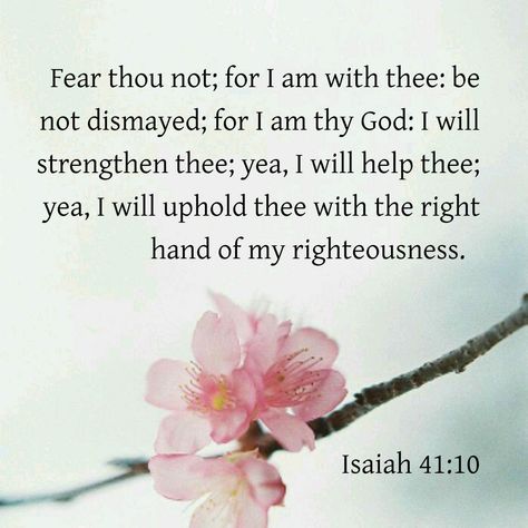 Isaiah 41:10 KJV Ancient Words, King James Bible Verses, Bible Verses Kjv, Encouraging Scripture, Daily Scripture, Favorite Bible Verses, Scripture Quotes Bible, Bible Lessons, Knowing God