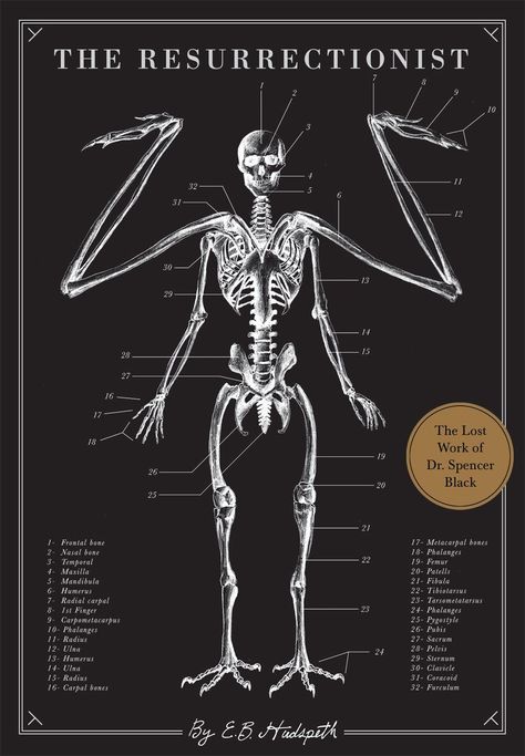 What's The Scariest Book Set In Your State? Here Are All 50 Answers The Resurrectionist, Wiccan Books, Horror Novels, Tenth Grade, Scary Books, Spooky Stories, Horror Novel, Horror Books, Visual Inspiration