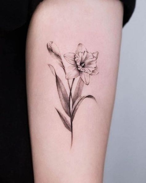 October Birth Flower Tattoo. Narcissus Flower Tattoo Realism, Narccicus Flower Drawing, Forearm Daffodil Tattoo, Defodiles Flower Tattoo, January And April Flower Tattoo, Southern Flower Tattoo, Narcissus And Snowdrop Flower Tattoo, March And April Flower Tattoo, Paper White Narcissus Flower Tattoo