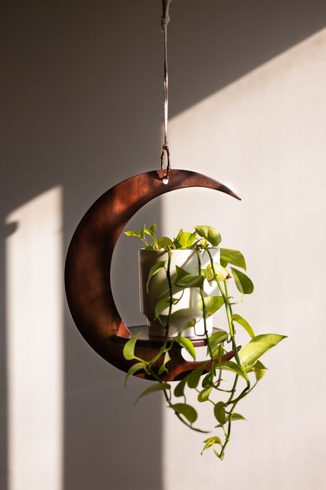 The perfect complement to our moon stand. Have a view of the new moon everyday all day with this hanger. The sleek shape is the ideal frame for medium sized plants and the dark stain contrasts perfectly with a bright window. Since this hanger is open on one end it accommodates bushier plants and makes accessing plants even easier. Our hangers always make it a breeze to hang, water, and maintain plants. The open access design means you can easily take plants down and put them back, or switch them Moon Plant, Dark Stain, Room With Plants, Moon Shapes, Plant Mom, Plant Lady, Dream House Decor, New Moon, My New Room