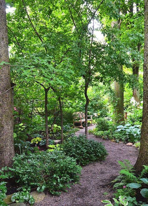 24 Woodland Garden Design - fancydecors #landscapingfrontyardwithrocks 숲 사진, Shade Garden Design, Garden Walkway, Have Inspiration, Forest Garden, Woodland Garden, Garden Pathway, Cool Ideas, Shade Plants