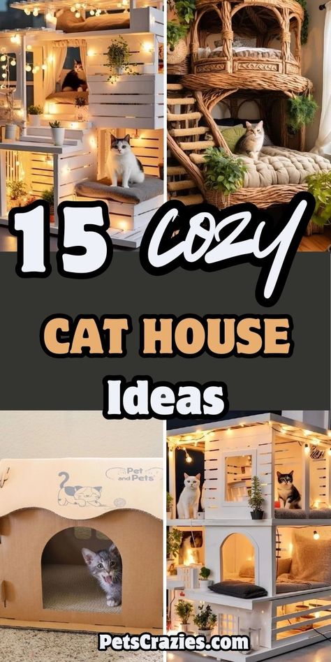 Cat Shack Ideas, Dresser To Cat House, Diy Outdoor Cat Bed, Multiple Cat Bed Ideas, Hobbit Cat House Diy, Diy Pet Room Ideas, Cat Building Ideas, Diy Heated Cat House, Cat Hotel Design Ideas