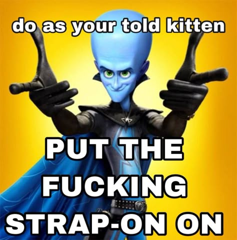 Megamind Background, My Mind Isn't The Only Thing That's Mega, Mega Mind, Megamind Thirst Trap, No B*tches Megamind, Megamind Being A Relatable King, Funny Megamind Memes, Mlp Memes Funny, Funny Profile