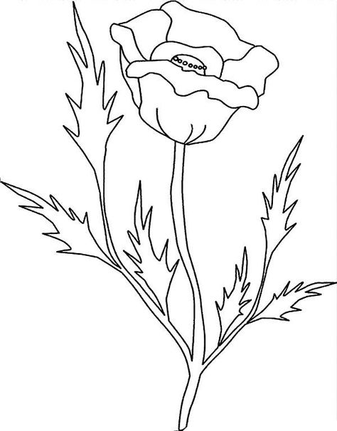 Poppy Leaves, Poppy Coloring Page, Leaf Coloring Page, Buttercup Flower, Flowers Coloring, Poppy Color, Flower Outline, Poppy Pattern, Art Hobbies