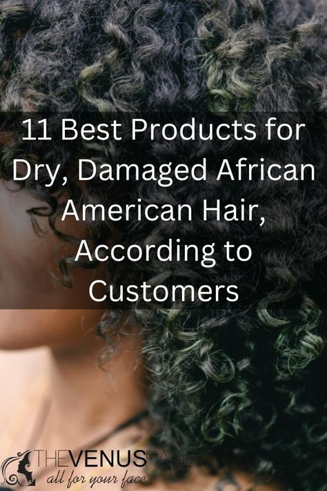 11 Best Products for Dry, Damaged African American Hair 2024 Extremely Dry Hair, Products For Damaged Hair, African American Hair Care, Dry Natural Hair, African American Hair, Stop Hair Breakage, Good Shampoo And Conditioner, Hair Mistakes, Ethnic Hairstyles