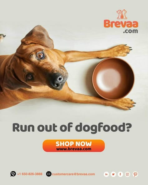 Dog Food Advertisement, Pet Food Poster, Pet Advertising, Dog Marketing, Pet Care Business, Pet Branding, Dog Food Brands, Pet Businesses, Food Advertising