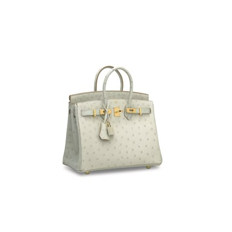 Ostrich Birkin, Kelly Pochette, Hermes Birkin 25, Handbag Essentials, Design Bag, Birkin Kelly, Dream Bags, Birkin 25, Bag Collection