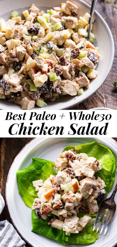 This healthy paleo chicken salad is packed with so many goodies like crunchy apples and celery, onions, cranberries, fresh herbs and tossed with an easy homemade mayo.  It's perfect over a salad, wrapped in greens or on its own for lunch or a snack!  Family approved, sugar free, dairy free and Whole30 compliant. #paleo #whole30 #cleaneating #chickensalad Paleo Chicken Salad Recipe, Cooked Chicken Leftovers, Paleo Chicken Salad, Whole30 Chicken Salad, Homemade Chicken Salads, Chicken Salad With Apples, Whole 30 Lunch, Whole30 Chicken, Paleo Salads