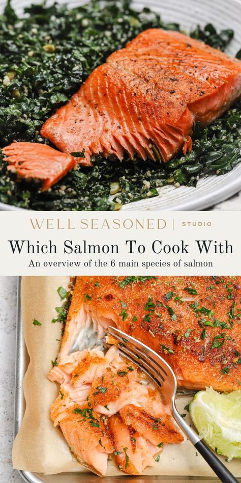 Salmon are a popular fish known for their delicious taste and nutritional benefits. There are six main species of salmon: Atlantic, king, sockeye, coho, pink, and chum. Each species has its own unique flavor, texture, and nutritional profile. #wellseasonedstudio #salmon #salmonspecies #wildsalmon #seafood Coho Salmon Recipes, Salmon Species, Pistachio Crusted Salmon, Salmon Curry, Salmon Croquettes, Teriyaki Glaze, Roast Zucchini, Sockeye Salmon, Sauteed Zucchini