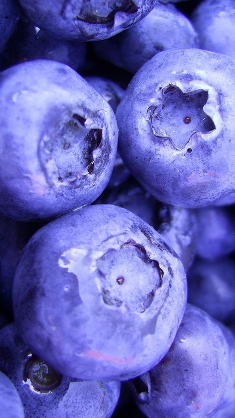 Purple blueberries E Liquid Flavors, Extreme Close Up, Fruit Wallpaper, Close Up Photography, Fruit Flavored, Fruit Recipes, Ipad Wallpaper, Color Textures, Macro Photography