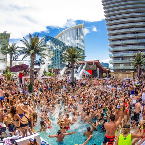 Vegas Pool Parties Pool Party Las Vegas, Hotel Manager, Las Vegas Pool, Vegas Pool, Vegas Pools, Vegas Clubs, Pool Hotel, Vegas Pool Party, Las Vegas Party