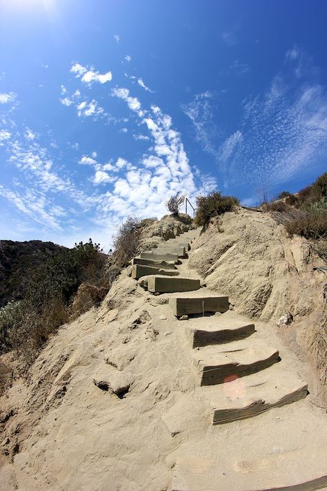 Runyon Canyon Runyon Canyon Hike, La Photoshoot, Runyon Canyon, La Living, Travel America, California Vacation, Vacation Planning, Fun Size, California Love