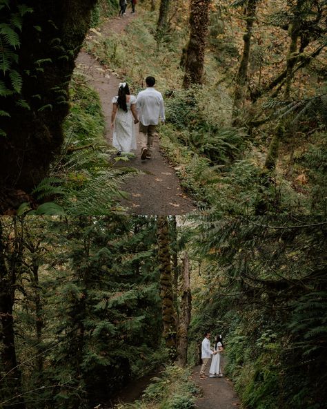 Pt.1 of Lauren and Tahsin’s engagement session in Forest park 🌿🌲 #engagement #engagementphotos #2025bride #bridetobe #2025weddings #engagementring #engagmentphotography #photoshooting #pnwphotographer #pnw #pnwbride #pnwbrides #brideinspiration #brideinspo #bows #forestlovers #forestpark #portlandphotographer #portrait #couplephotography #couplesphotoshoot #couplesphotographer Wedding Forest Pictures, Forest Couple Photoshoot, Forest Engagement Shoot, Forest Engagement Photos, Wedding Forest, Forest Engagement, Bride Inspiration, Forest Pictures, Couple Photoshoot