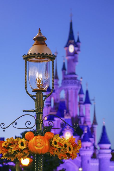 Disney Fall Aesthetic, Disney Halloween Wallpaper, Château Disney, Disney World Haunted Mansion, Disneyland Paris Halloween, Fall Homescreen, Disney Fall, Paris Photo Ideas, Disney Photo Ideas