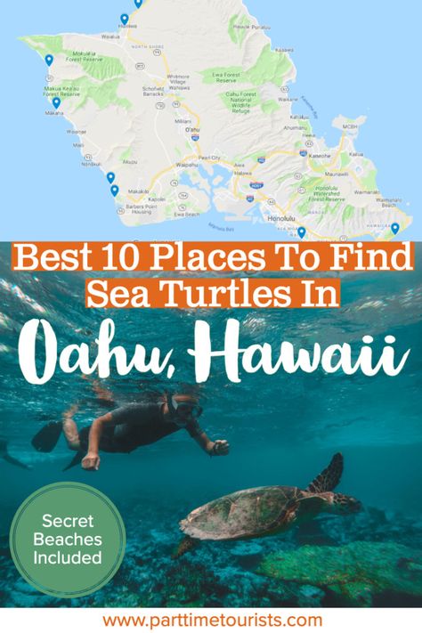 Find out where the top 10 places are to see and swim with sea turtles in Oahu Hawaii are! Well-known and secret beaches included. #oahu #hawaii #seaturtles parttimetourists.com Hawaii 2023, Makua Beach, Kauai Activities, Hawaii Trip Planning, Kauai Travel, Hawaiian Sea Turtle, Oahu Vacation, Kauai Vacation, Hawaii Adventures