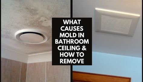 Mold On Bathroom Ceiling, Clean Black Mold, Mold In Bathroom, Cleaning Mold, Bathroom Ceiling, What To Use, Mold Remover, In Bathroom, Shower Cleaner