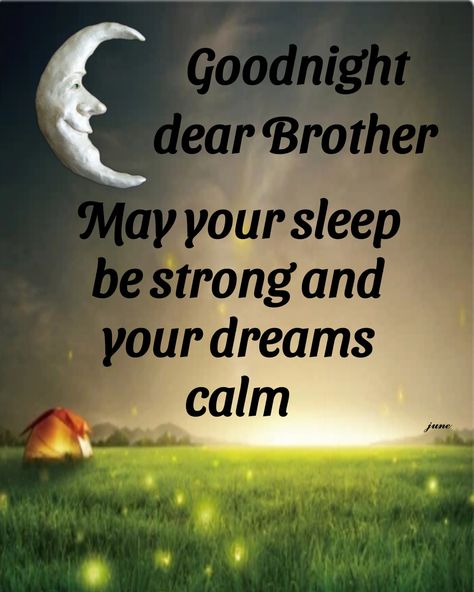 Quote Night, Quote Moon, Goodnight Quotes For Him, Good Night Meme, Good Night Dear Friend, Good Night Sister, Good Night Blessings Quotes, Quote Hope, Funny Good Night Quotes