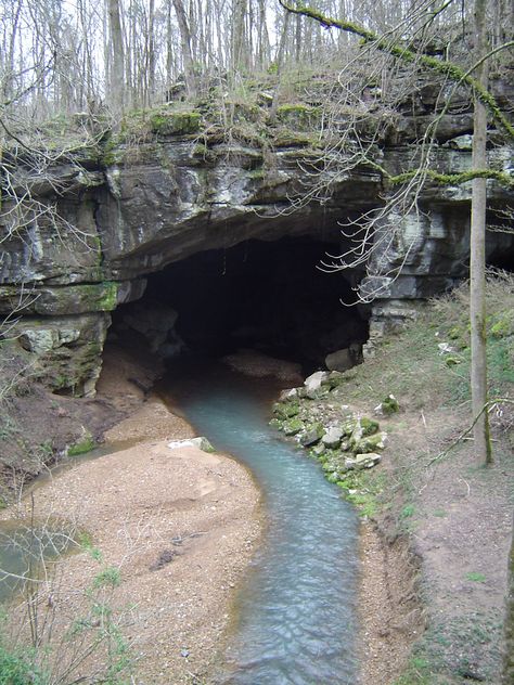 Stream running into Russell Cave, Alabama | Russell Cave Nat… | Flickr Cragmaw Hideout, Cave Hideout, Alabama Travel, Cheap Flight, Cheap Flight Tickets, Flight Tickets, Fairy Queen, Caving, The Cave