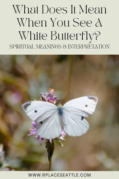 Butterfly Spiritual, White Moths, Butterfly Spirit Animal, Butterfly Meaning, Spiritual Animal, Butterfly Collection, When You See It, Butterflies Flying, White Wings