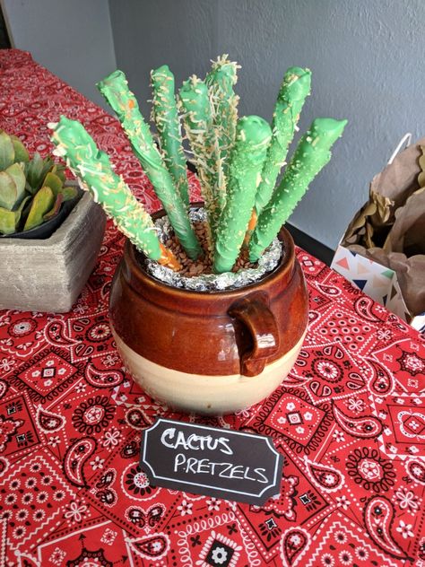 Cactus pretzels Cactus Pretzels, Western Birthday, Pretzels, First Birthdays, Planter Pots, Cactus, Coconut, Birthday