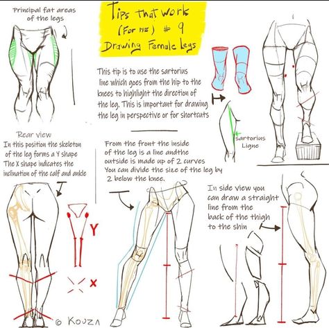 Cute Lineart, Leg Reference, Leg Anatomy, Art Anatomy, Female Legs, Female Anatomy Reference, Drawing Legs, Drawing Female Body, Anatomy Tutorial