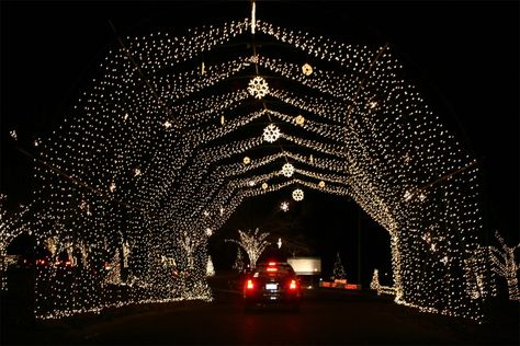 Way of Lights Christmas Display Belleville Illinois, Christmas Light Displays, Mormon Temple, Lights Christmas, Drive Through, Adventure Photography, Christmas Light, Christmas Display, Beach Holiday