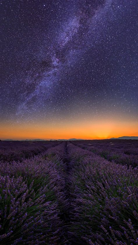 Starry Skies Aesthetic, Aesthetic Starry Sky, Stary Night Background Aesthetic, Pictures Of Stars, Starry Field Aesthetic, Summer Night Sky, Stars Aesthetic Night Skies Landscape, Planet Painting, Night Sky Photography