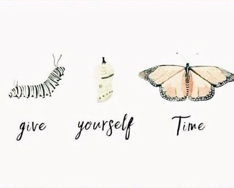 Pilates For Beginners, Health Quotes, A Butterfly, Caterpillar, Beautiful Words, Inspirational Words, Cool Words, Favorite Quotes, Quotes To Live By