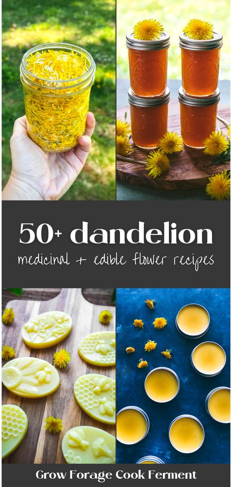 Try foraging for dandelions, a versatile wild edible plant! Curious about the myriad health benefits of dandelion roots, greens, and flowers? There are tons! Learn how to craft an array of edible flower recipes, from detoxifying dandelion tea and fermented honey wine (also known as dandelion mead), to scrumptious jelly, dandelion-infused oil and vinegar, refreshing salad, soothing soap, dandelion salve, and a host of other simple yet tantalizing food and drink recipes. Recipes For Drinks, Paleo Cupcakes, Vinegar Salad, Flower Recipes, Dandelion Benefits, Fermented Honey, Wine Jelly, Edible Flowers Recipes, Honey Wine