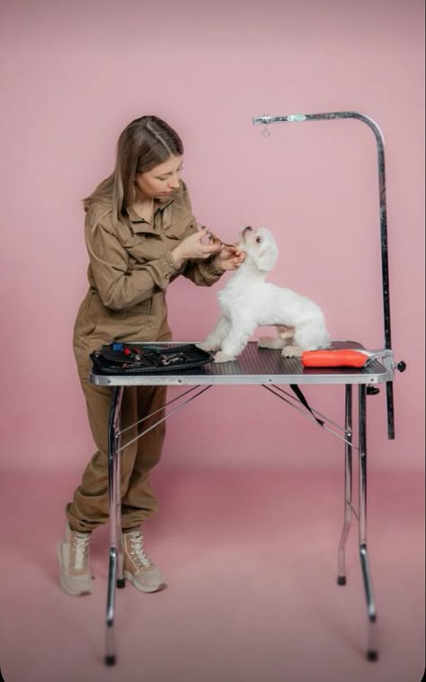 Dog Grooming Aesthetic, Trainer Photoshoot, Grooming Salon Ideas, Dog Portrait Photography, Pet And Owner, Dog Groomer, Grooming Salon, Salon Ideas, Animal Care