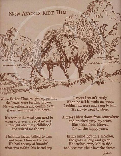 Lovely poem...dedicate it to the old lesson horse I used to died who died on December 31st, 2012. R.I.P. Diamond Delight Horse Poems, Equine Quotes, Cowboy Poetry, Inspirational Horse Quotes, Equestrian Quotes, Cowboy Quotes, Horse Memorial, Cowgirl Quotes, Riding Quotes