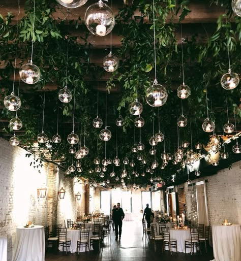 Hanging Lights Wedding Ceiling Lights, Florals Hanging From Ceiling Wedding, Christmas Wedding Ceiling Decor, Ivy Hanging From Ceiling, Floral Ceiling Installation Wedding, Greenery Ceiling Installation, Hanging Greenery Installation, Hanging Wedding Florals, Greenery Ceiling Wedding