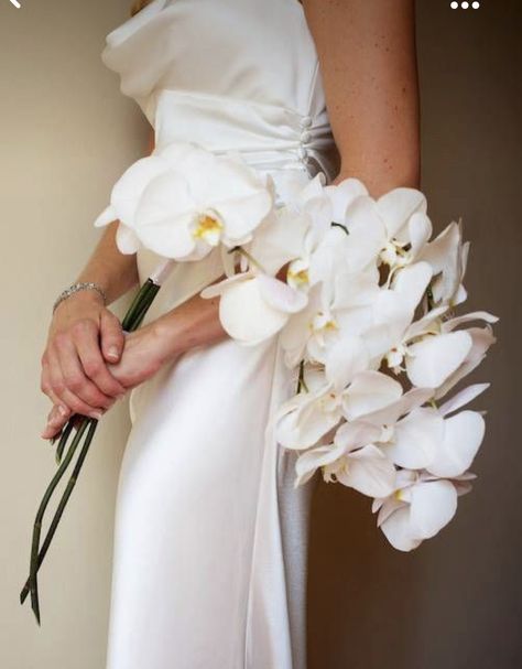 White Orchid Bouquet, Orchid Bouquet Wedding, Orchid Bouquet, Bridal Bouquet Flowers, Orchid Wedding, White Bridal Bouquet, Gatsby Wedding, Phalaenopsis Orchid, Birmingham Alabama