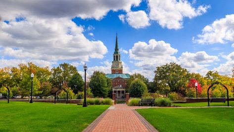 How to Get Into Wake Forest: Admissions Data & Strategies - College Transitions Wake Forest University Aesthetic, Eva Meloche, University Aesthetic, Iris Law, University Dorms, Gorp Core, Wake Forest University, Bryson City, Star Students