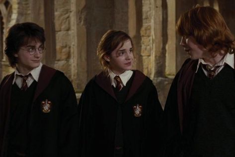 Tonks Harry Potter, Quidditch World Cup, Ron Weasley Hermione Granger, Gryffindor Aesthetic, Welcome To Hogwarts, Harry Potter Ron Weasley, Adventure Family, The Golden Trio, Harry Potter Icons