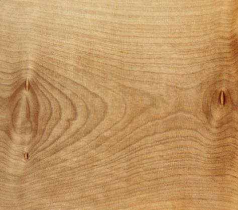 Very similar to maple, the material is mainly comprised of sapwood with some heartwood streaks. The sapwood is white to light tan whereas the heartwood is a darker reddish brown. The grain is interlocked with a fine and even texture that is considered to be very similar to maple. Material is considered to be perishable regarding decay resistance and is susceptible to insect attack. Contact us NOW to discuss your project and pricing! Call Us: (843) 851-0222 Email Us: teklowe@teklowe.com Sycamore Wood, Valencia Spain, Wooden Planks, Reddish Brown, Light Tan, Guest Suite, Valencia, Hardwood Floors, Grain