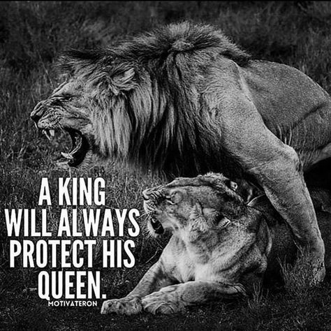 And a king will ALWAYS protect his queen. King Queen Quotes, Empowered Quotes, Lioness Quotes, Lion Quotes, His Queen, Lion And Lioness, Lion Love, King Quotes, Soothing Quotes